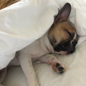 Meet your Posher, Christine